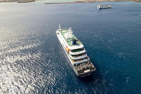 Qué es el hantavirus y por qué investigan tres muertes en un crucero en Argentina