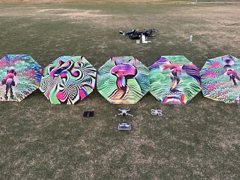 Método atrapa moscas: el sistema que atrae drones enemigos para facilitar su captura o colisión