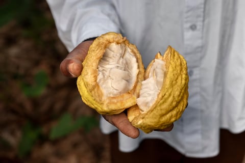 Aranceles en Estados Unidos: ‘Hay mucha presión en precios por el diferencial con competidores de la región’