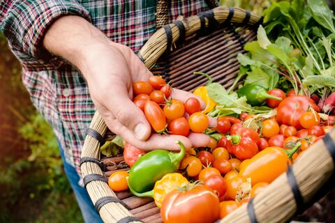 Cuidemos la tierra para producir nuestros alimentos