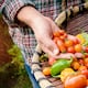 Cuidemos la tierra para producir nuestros alimentos