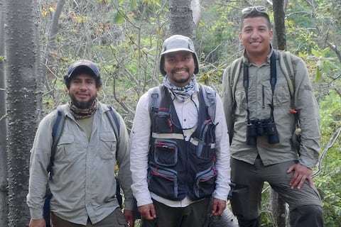 El árbol ecuatoriano que permaneció oculto a la ciencia: ‘Spirotheca zapotillana’