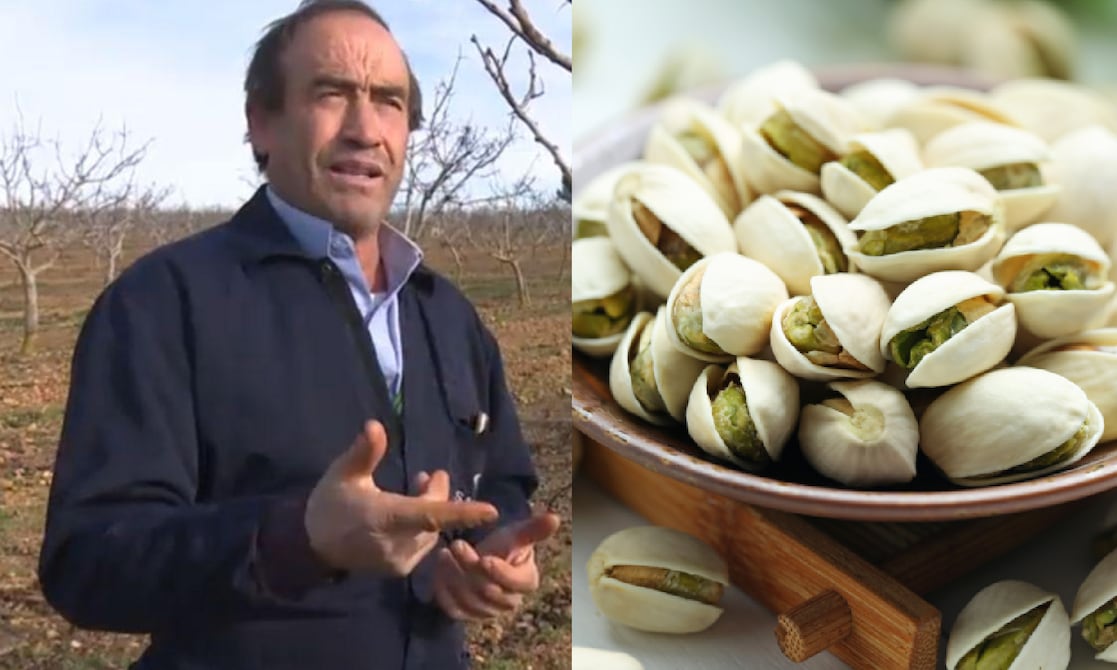 Agricultor español crea fortuna con "oro verde" de los pistachos