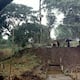 La inmensa ciudad en el Amazonas que cambia lo que se sabía de las primeras culturas en América Latina