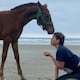 ¿Has hecho yoga con caballos?: en una playa de Ecuador se lo practica y ayuda a regular el sistema nervioso