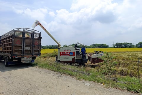 Proceso de compra directa de arroz a productores estará abierto hasta junio, señaló el ministro de Agricultura