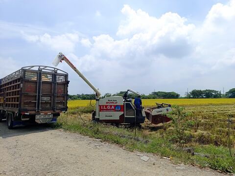Proceso de compra directa de arroz a productores estará abierto hasta junio, señaló el ministro de Agricultura