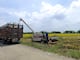 Proceso de compra directa de arroz a productores estará abierto hasta junio, señaló el ministro de Agricultura