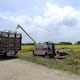 Proceso de compra directa de arroz a productores estará abierto hasta junio, señaló el ministro de Agricultura