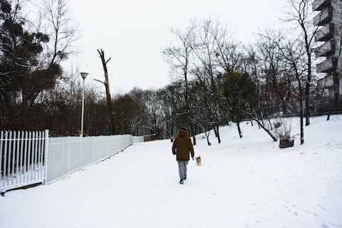 ¿Cuánta nieve caerá en el oeste de Nueva York? Emiten advertencia por efecto lacustre hasta este martes 11 de noviembre