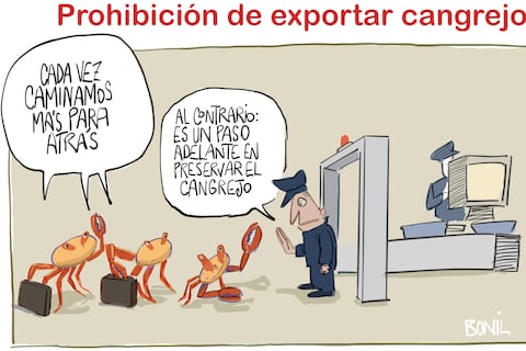 La columna de Bonil