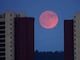 Superluna de castor: la próxima luna llena será las más grande y brillante de 2025 y podrás verla en esta fecha cercana