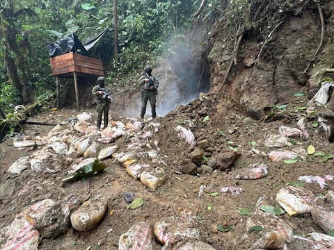 Operativo contra minería ilegal afecta economía de grupo delictivo en Santo Domingo
