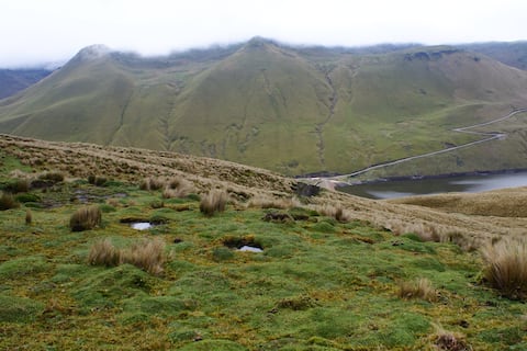 En 18 años, plan de manejo de páramos mantiene reto de reducir pobreza de comuneros : ‘Muchas familias prefieren migrar en busca de mejorar la situación económica’