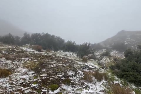 Parque Nacional Cajas se tiñe de blanco por ligera nevada y granizo