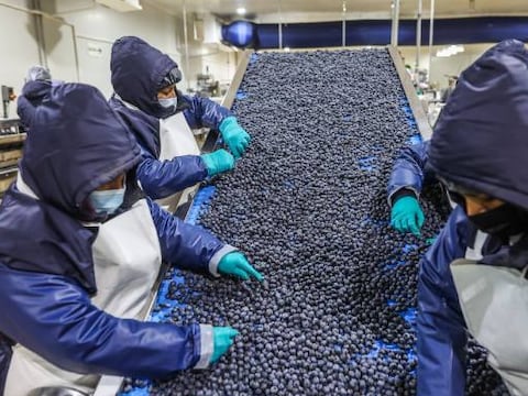 La fruta en Sudamérica que podría aumentar la cosecha por el fenómeno del Niño