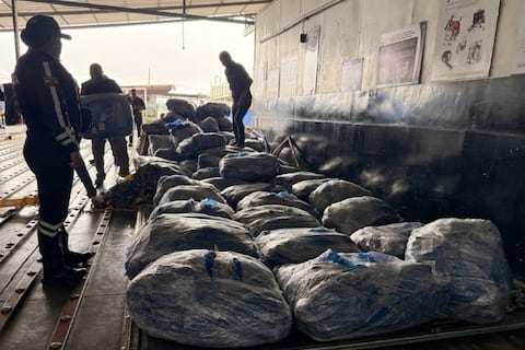 Decomisan más de 21.000 aletas de tiburón en el aeropuerto de Guayaquil