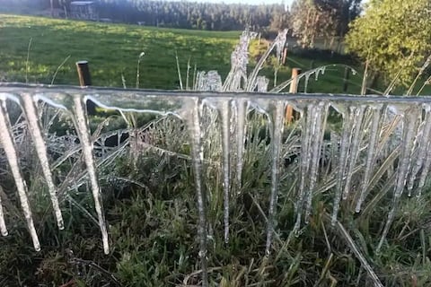 Heladas causan pérdidas totales en 354 hectáreas de cultivos en Cotopaxi