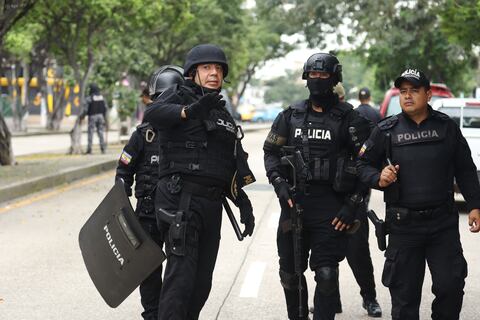 ¿Qué efectos podría causar el porte de armas de la sociedad civil en Ecuador?