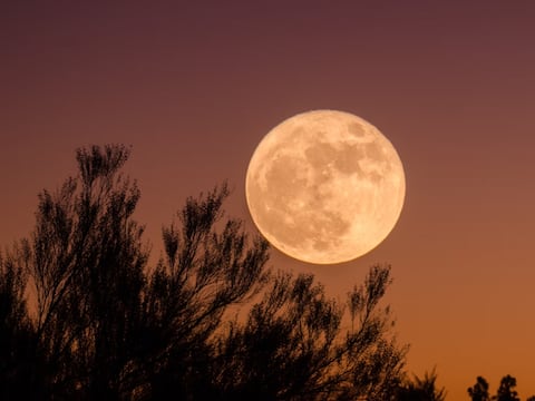 Esta semana podrás ver la superluna más brillante del año: Anota la fecha y hora para apreciar la Luna del Castor