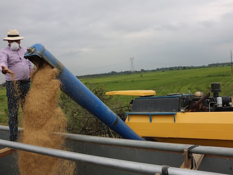 En respuesta a Ecuador, Colombia también evalúa incrementar arancel del 30 % al 50 % a 73 subpartidas e incluir más