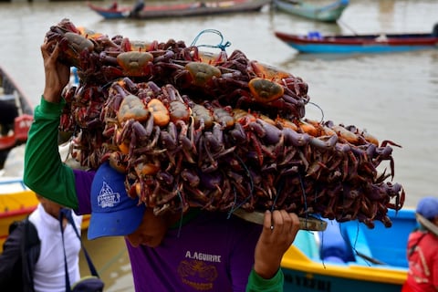 ‘¿Y la pulpa de cangrejo que viene enlatada tampoco?’, la principal preocupación de consumidores tras la prohibición de exportar este producto
