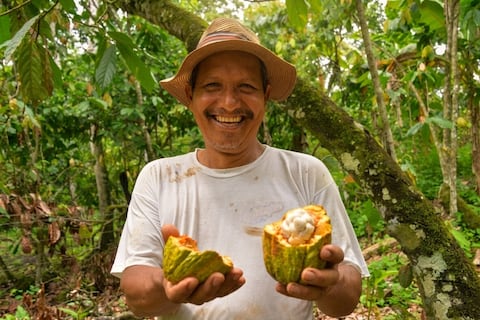 Manabí impulsa escuelas del productor para salvar el cacao ante la normativa europea de 2026