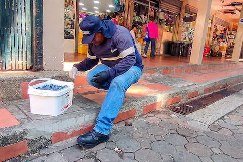 Ratas en Guayaquil: detectan más de 500 madrigueras en la Bahía y activan campaña de desratización