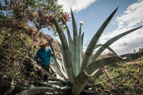Hoy se proyecta gratuitamente en EDOC ‘La primera puerta’, un filme que rescata el valor de la comunidad campesina