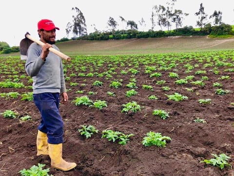Sobre el censo agropecuario en Guayas