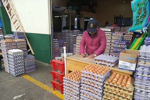 El bajo precio del huevo por sobreproducción lleva a reducir gallinas ponedoras