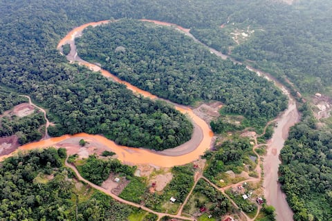 Más de 1 millón de hectáreas de vegetación primaria perdió Ecuador en 20 años