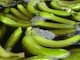 Exportadores de banano, optimistas en que se concrete reducción de aranceles con Estados Unidos