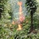 FF. AA. detectan 2 hectáreas de cultivos de coca en Esmeraldas vinculadas a Los Lobos