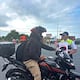 1 de cada 3 fallecidos en siniestros viales es motociclista en Ecuador