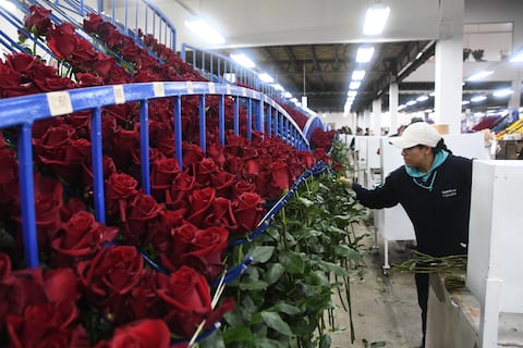 Acuerdo de comercio con Estados Unidos pasará a la Corte Constitucional y a la Asamblea Nacional