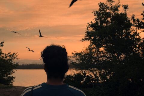 Festival EDOC celebra sus 20 años de existencia con una programación para nueve días