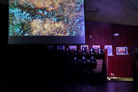 Muestra Internacional de Música Electroacústica llega a Quito con obras de más de 200 artistas