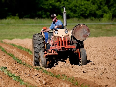 “Gastos innecesarios”: Departamento de Agricultura de Estados Unidos recorta millones de dólares destinados a un programa de ayuda a los agricultores