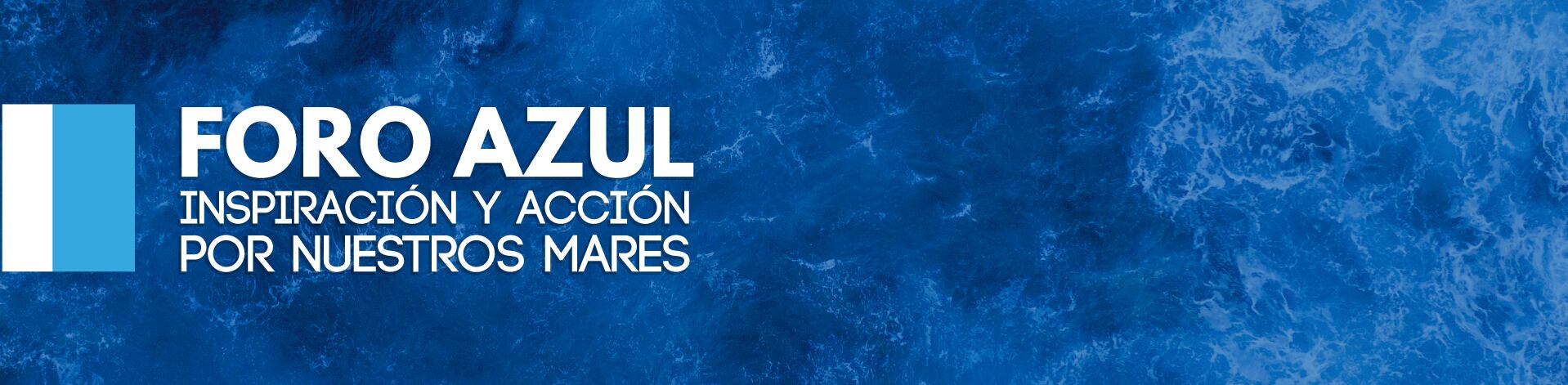 Boletines de El Universo