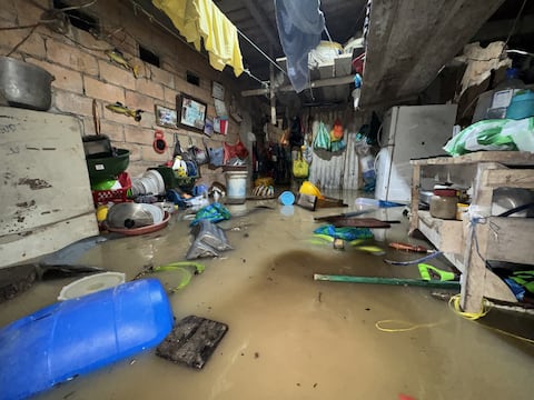 Flavio Alfaro: inundaciones y vías bloqueadas tras las lluvias y la crecida del río Pescadillo