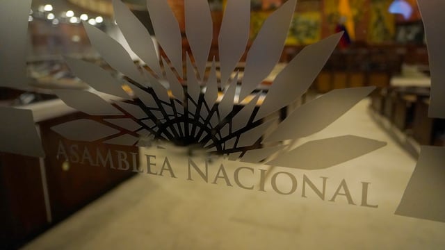 Siete legisladores han sido sancionados por cometer faltas graves y violencia en la Asamblea Nacional en el actual periodo