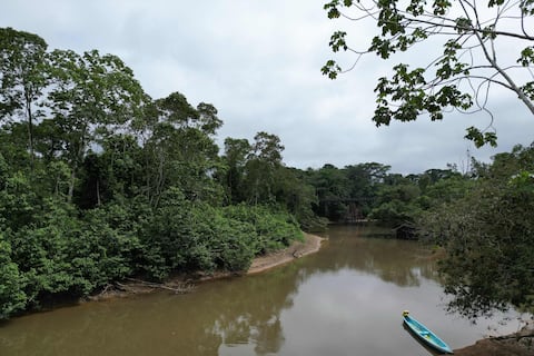 Relator de la ONU presenta escrito a Corte Constitucional por explotación petrolera en el Yasuní tras resultado de consulta popular