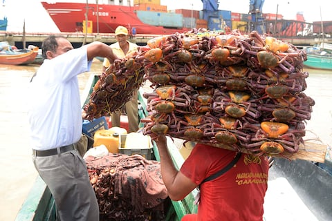 Cangrejo rojo y azul entran en veda desde el 1 de febrero de 2026 en Ecuador