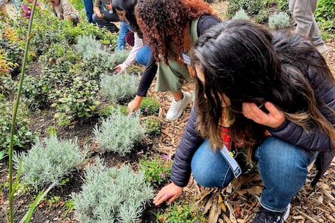 Este miércoles empieza la Fiesta de la Siembra en el parque Bicentenario de Quito: la meta es añadir 3.000 plantas hasta diciembre