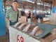 Abastecimiento y oferta comerciantes de mariscos en Manta se acomodan por toque de queda: “Los carros ya no llegan de madrugada”