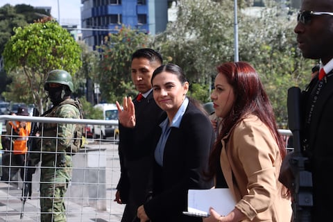 Corte Constitucional no admitió a trámite acciones de interpretación de la Constitución y de inconstitucionalidad sobre situación de Verónica Abad