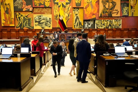 Condonación de tributos, disposiciones al IESS, reformas sobre concesiones mineras y más facultades a la UAFE, entre los principales puntos de la Ley de Transparencia Social
