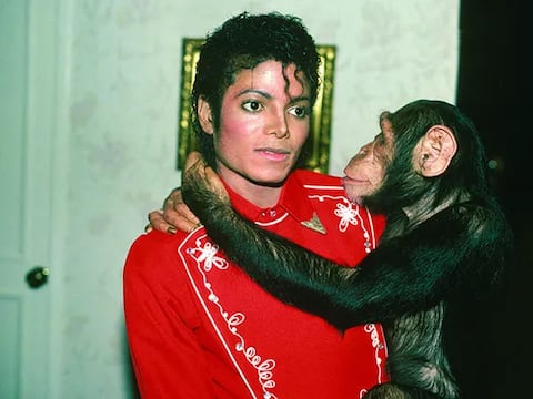 La historia de Bubbles revive en ‘Michael’: así vive hoy el chimpancé de Michael Jackson