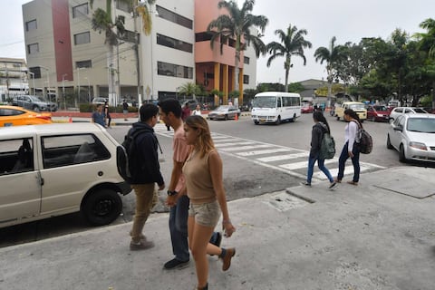 Concurso de méritos y oposición en la Universidad de Guayaquil superó expectativa que había en convocatoria